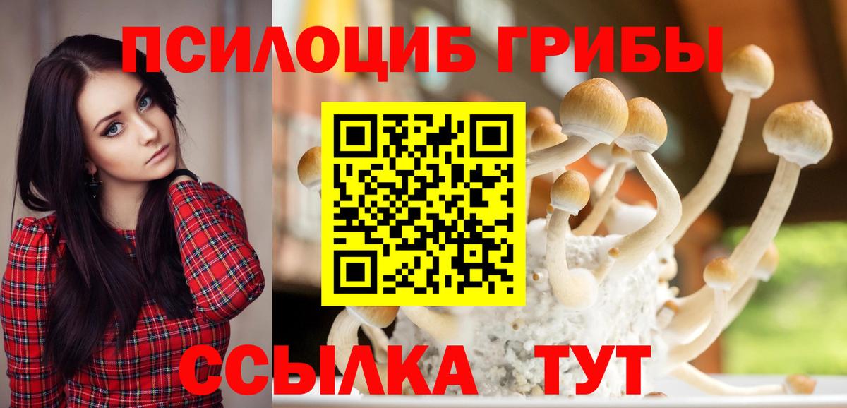 Псилоцибиновые грибы Psilocybe Сочи